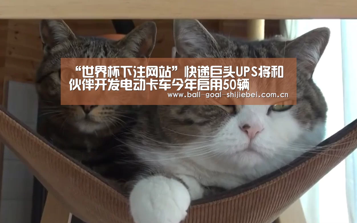 世界杯下注